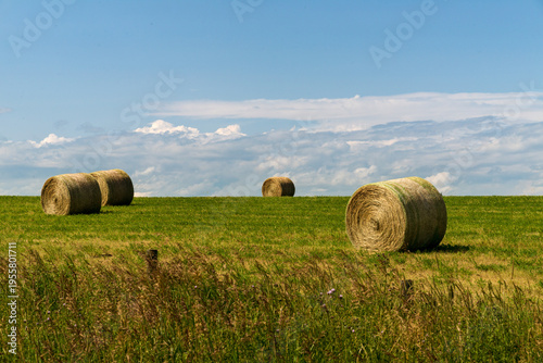 Canada, Alberta, Calgary. Large round hay bales in field near the small town of Cremona, north of Calgary.
