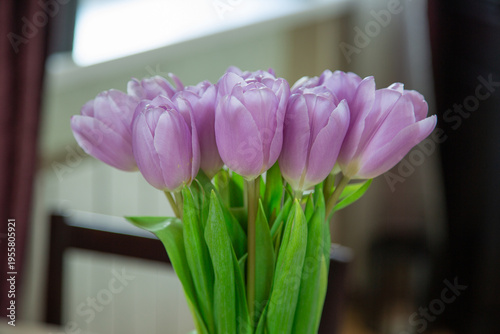 Close up of light purple tulips bouquet with fresh petals and green leaves, natural indoor floral composition.
