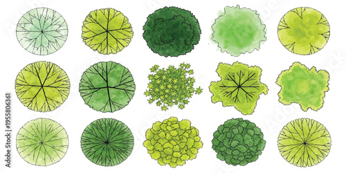 Set of top view trees for landscape architectural design with watercolor and line style