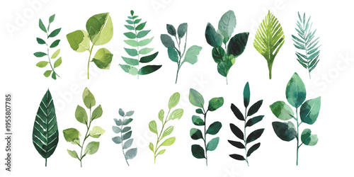 Set of hand drawn watercolor green leaves and branches isolated on white background vector illustration