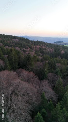 Vue aérienne au coucher du soleil, paysage naturel avec lumière dorée et horizon