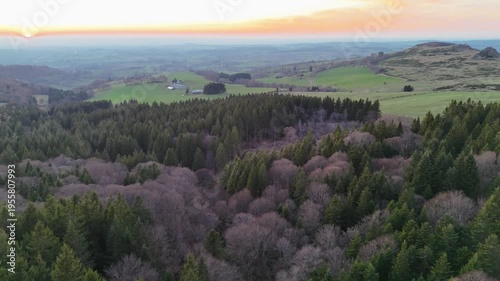 Vidéo aérienne d'un panorama avec une forêt de conifères et des plaines au crépuscule 