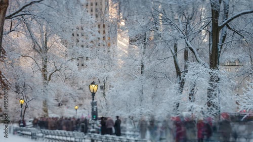Wallpaper Mural Central Park traffic during the snowstorm Torontodigital.ca