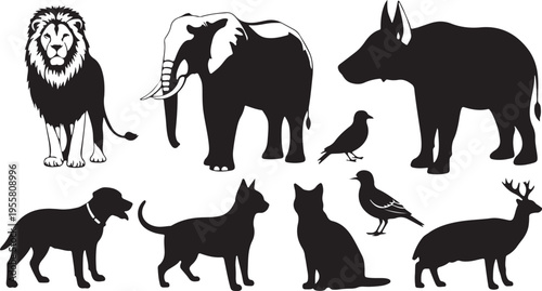 High-Quality Wildlife Silhouette Set – Lion Elephant Dog Cat Bird Vector Collection