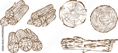 Hand-Drawn Forestry Wood Elements – Tree Rings, Logs, Timber and Planks Vintage Vector Set for Campfire and Outdoor Themes