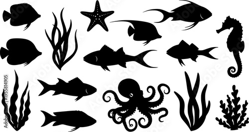 Collection of black marine life silhouettes including fish, starfish, seahorse, octopus, and seaweed on a white background