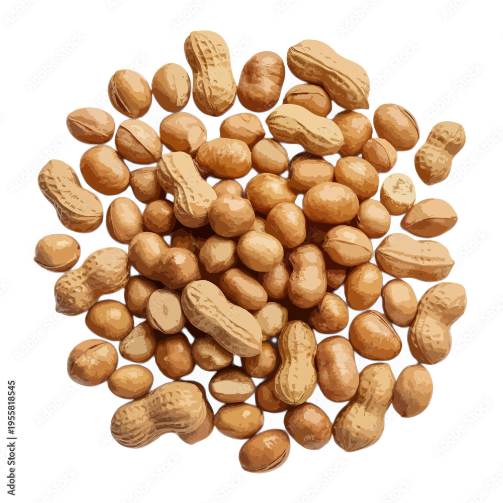 Obraz premium A close-up view of a pile of roasted peanuts scattered on a white background isolated on white background, Vector