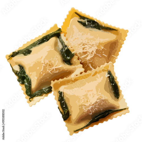 Delicious spinach and ricotta stuffed pasta served with a creamy sauce isolated on white background, Vector