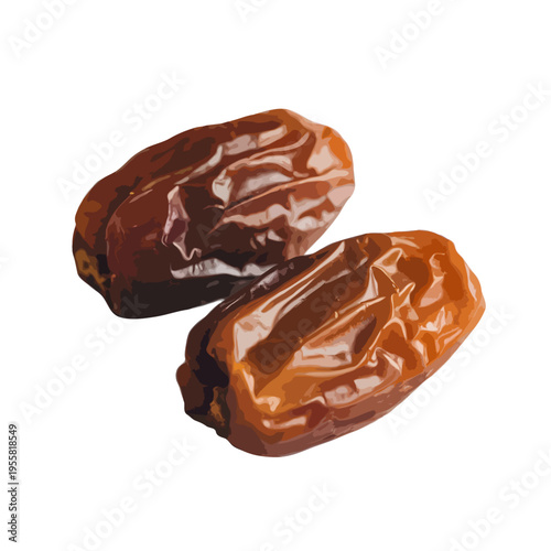 Two whole dates resting on a white background with a slight shadow effect. isolated on white background, Vector