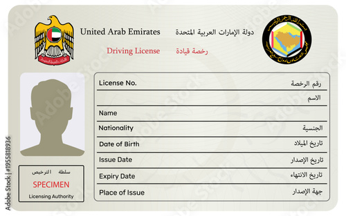 UAE person driver license. United Arab Emirates driving license vector illustration simplified. 