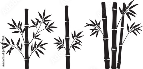Black bamboo silhouette illustration, Asian nature plant design, minimal botanical clipart, bamboo stems and leaves vector, zen garden aesthetic artwork