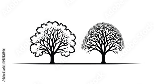 Two distinct black and white deciduous tree silhouettes stand side by side, illustrating seasonal or species variation against a stark background.