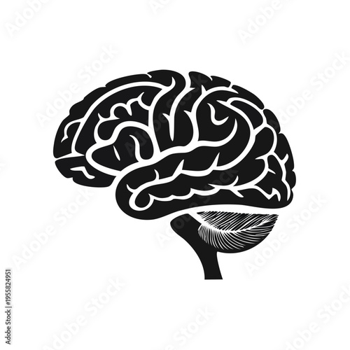 Black silhouette of a human brain with cerebellum and brainstem on white background