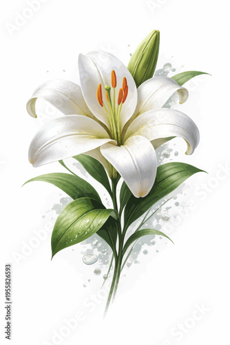 Realistic digital painting of a white lily flower with green leaves, botanical illustration, elegant and pure