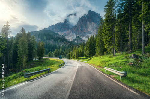 Road in green forest in rai...