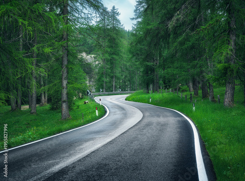 Road in green forest in rai...