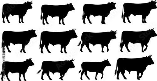 cow silhouette Vector set, cattle silhouettes, diverse breed of cows. Ideal for farm, ranch branding. Perfect for logos, decals. Black, white background. Bulls, cows, standing, walking, running 