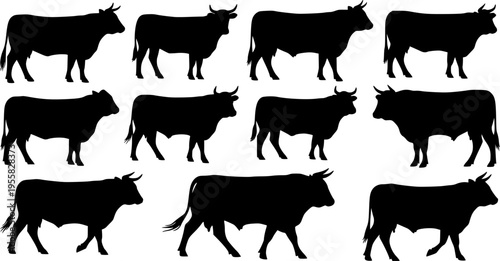 cow silhouette Vector set, cattle silhouettes, diverse breed of cows. Ideal for farm, ranch branding. Perfect for logos, decals. Black, white background. Bulls, cows, standing, walking, running 