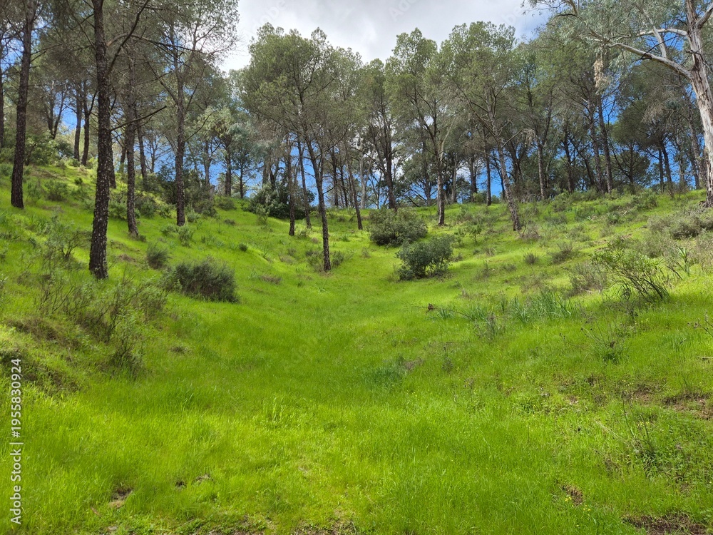 Obraz premium Ruta de senderismo en el Sierra Morena, Andujar