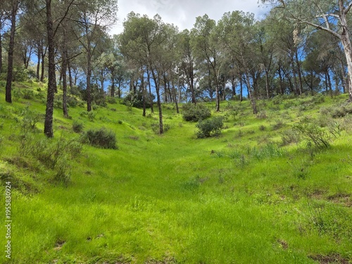 Ruta de senderismo en el Sierra Morena, Andujar
