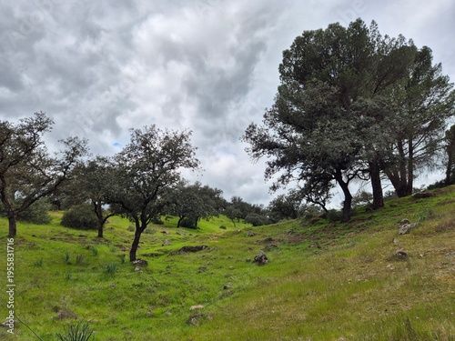 Ruta de senderismo en el Sierra Morena, Andujar