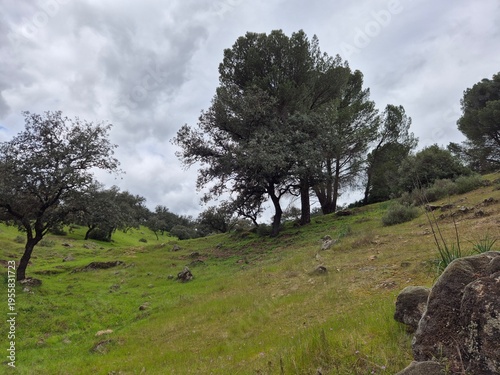 Ruta de senderismo en el Sierra Morena, Andujar