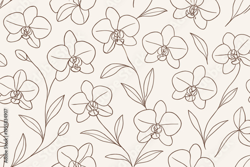 Drawing of orchids on a light background showing floral patterns and designs for decorative use in various settings and projects