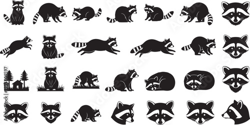 Fotografía Dynamic collection of stylized raccoon illustrations showcasing these clever woo