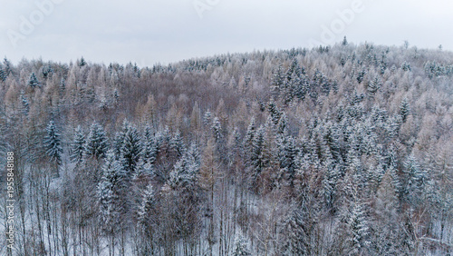 Aerial view on the hill with trees at winter time.