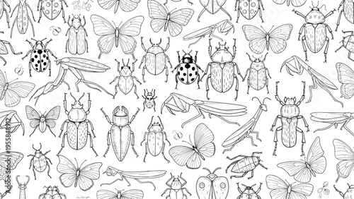 Seamless pattern of hand drawn vintage sketches of various insects including beetles butterflies ladybugs and praying mantis on a white background.