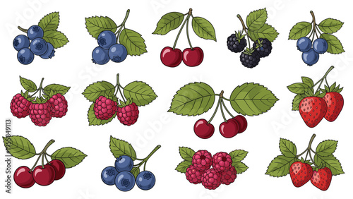 Detailed set of various berries including strawberries, blueberries, raspberries, cherries, and blackberries with green leaves for food design.