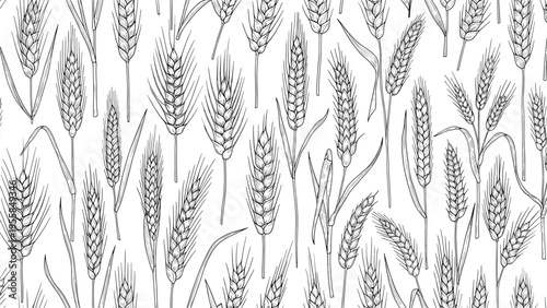 Seamless pattern of hand drawn wheat ears in a classic engraving style for bakery food and agricultural background.