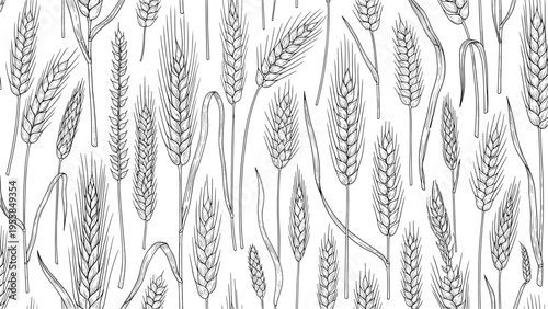 Detailed hand drawn wheat pattern in a vintage engraving style for agricultural products or natural food backgrounds.