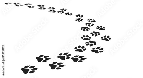 A trail of animal paw prints.