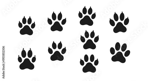Collection of animal paw prints.