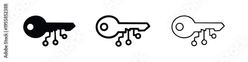Digital security key icons set. Cryptographic access and cybersecurity symbol for data protection and encryption.