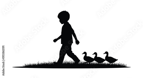 A young boy follows ducks across grassy field stark silhouette