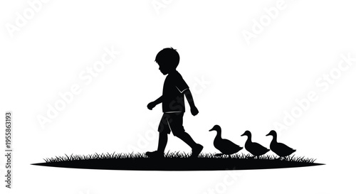 A young boy walks with three ducks in a grassy field silhouette