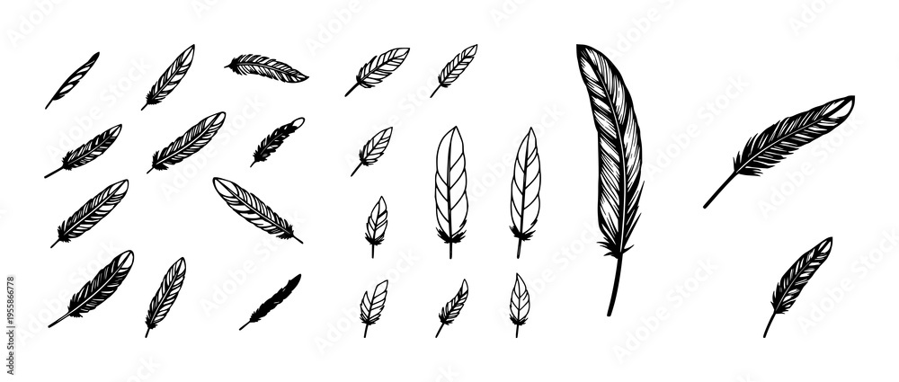 Obraz premium Feather icon set with simple black vector minimalist silhouettes featuring feather, icon, vector with design and graphics