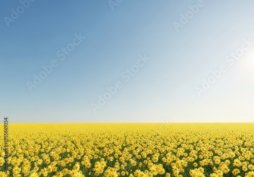 A vibrant, expansive field blanketed entirely in tiny, cheerful yellow daisies under a bright sunny sky during the peak of the warm springtime season, springtime, colorful, texture
