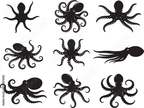 Blue Ringed Octopus Spreading Arms in Defensive Motion