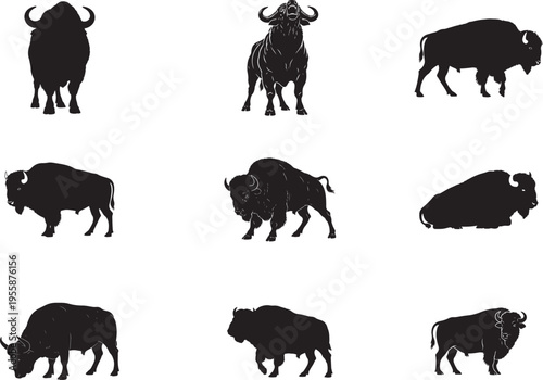 Massive Buffalo Bull Standing with Strong Horned Head