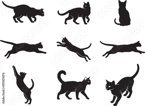 Burmese Cat Sleek Domestic Feline Silhouette