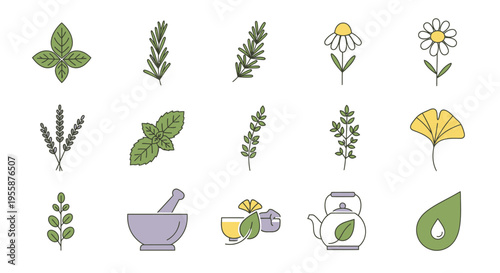 Herbal tea and botanical icons set.