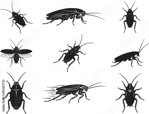 Cockroach Insect Crawling Urban Pest Silhouette