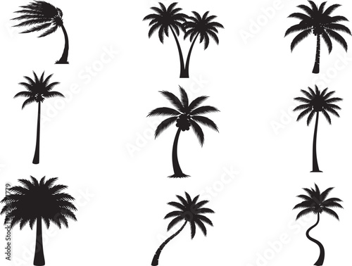 Tropical Coconut Palm Tree Coastal Silhouette