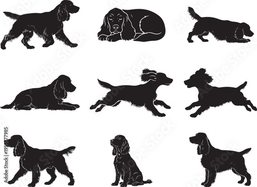 Bild auf Leinwand English Cocker Spaniel Friendly Pet Dog Silhouette