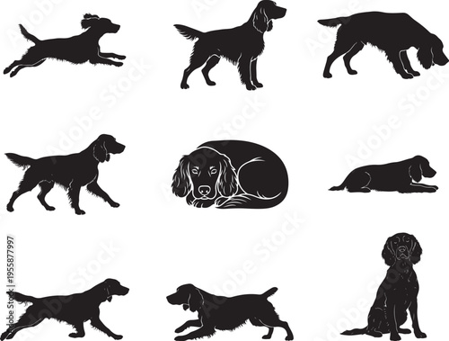 Tableau sur toile English Springer Spaniel Energetic Gun Dog Silhouette