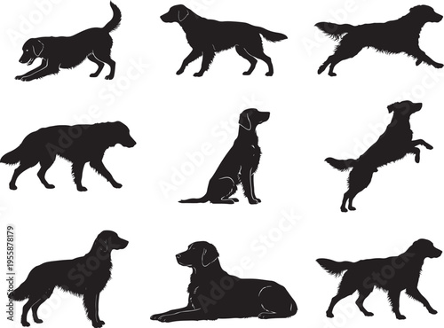 Flat Coated Retriever Sporting Dog Clean Side Silhouette