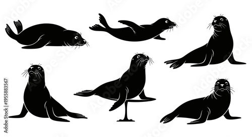 Set of Seal Silhouettes in Various Poses: Resting, Swimming, Performing, Sitting